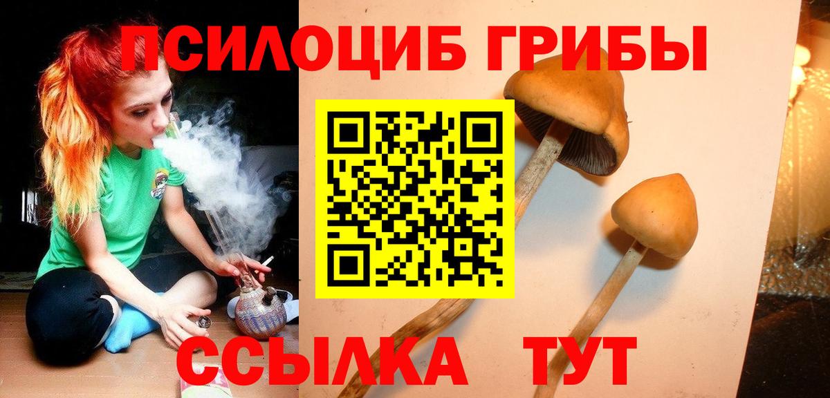 Псилоцибиновые грибы ЛСД Ногинск